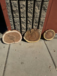 Willow/Shoestring Acacia Round Slabs