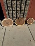 Willow/Shoestring Acacia Round Slabs