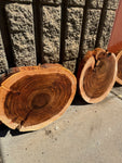 Willow Acacia Round Slabs