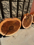 Willow Acacia Round Slabs