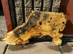 Buckeye Burl Slab