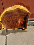 Mesquite Round Slabs