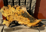 Buckeye Burl Slab