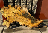 Buckeye Burl Slab