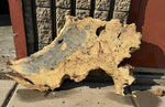 Buckeye Burl Slab