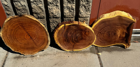 Mesquite Round Slabs