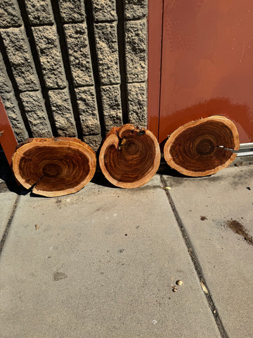 Willow Acacia Round Slabs