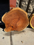 Mesquite Round Slabs