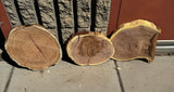 Mesquite Round Slabs