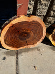 Willow/Shoestring Acacia Round Slabs