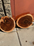 Willow Acacia Round Slabs