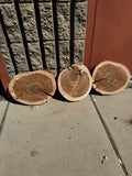 Willow Acacia Round Slabs