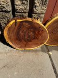 Mesquite Round Slabs