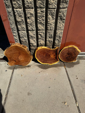 Mesquite Round Slabs