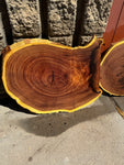 Mesquite Round Slabs