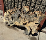 Buckeye Burl Slab