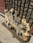 Buckeye Burl Slab