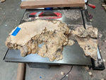 Maple Burl Natrual Edge